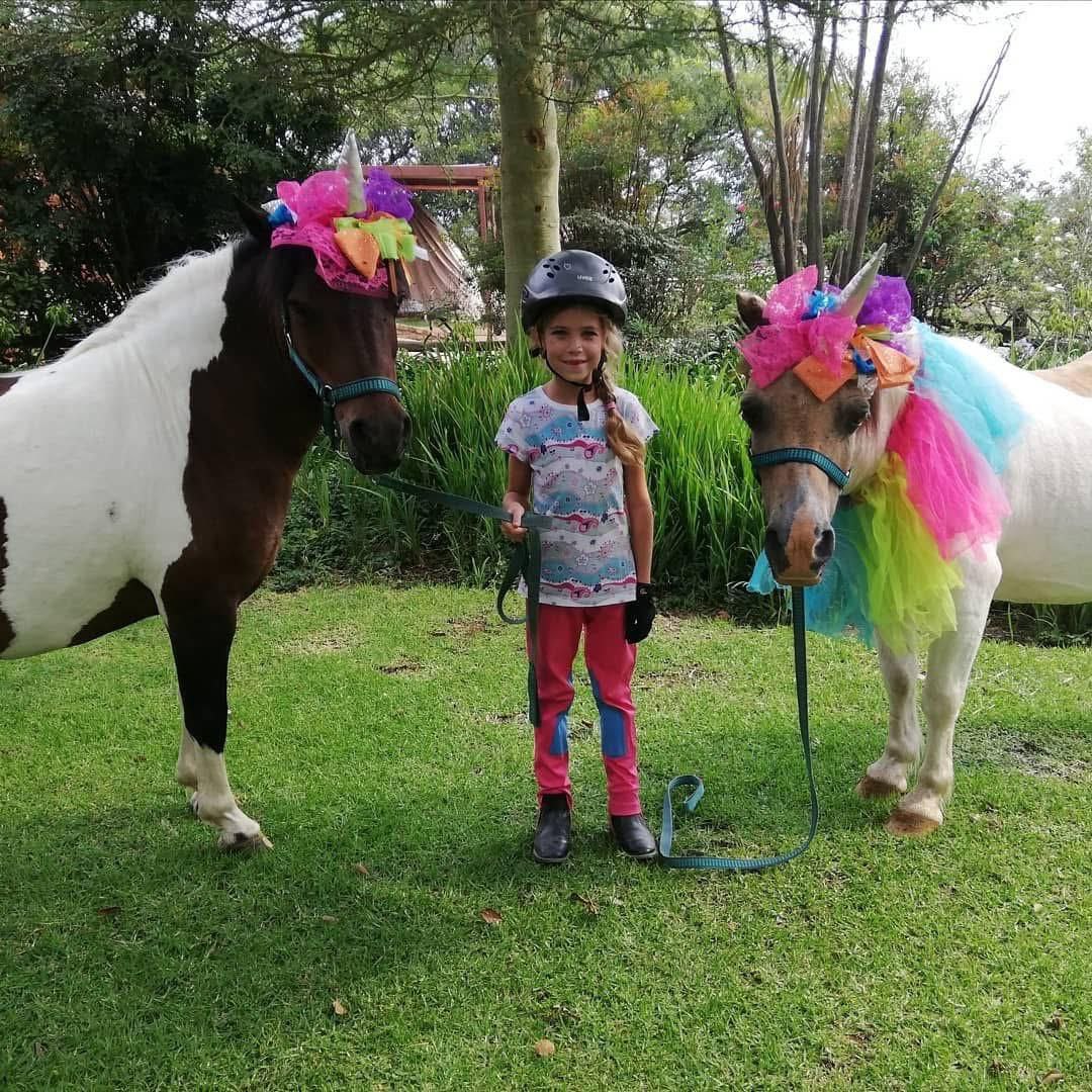 United Equestrian Estate